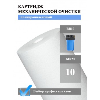 Картридж механической очистки AWT ЭФГ 112/250-10 (BB10)